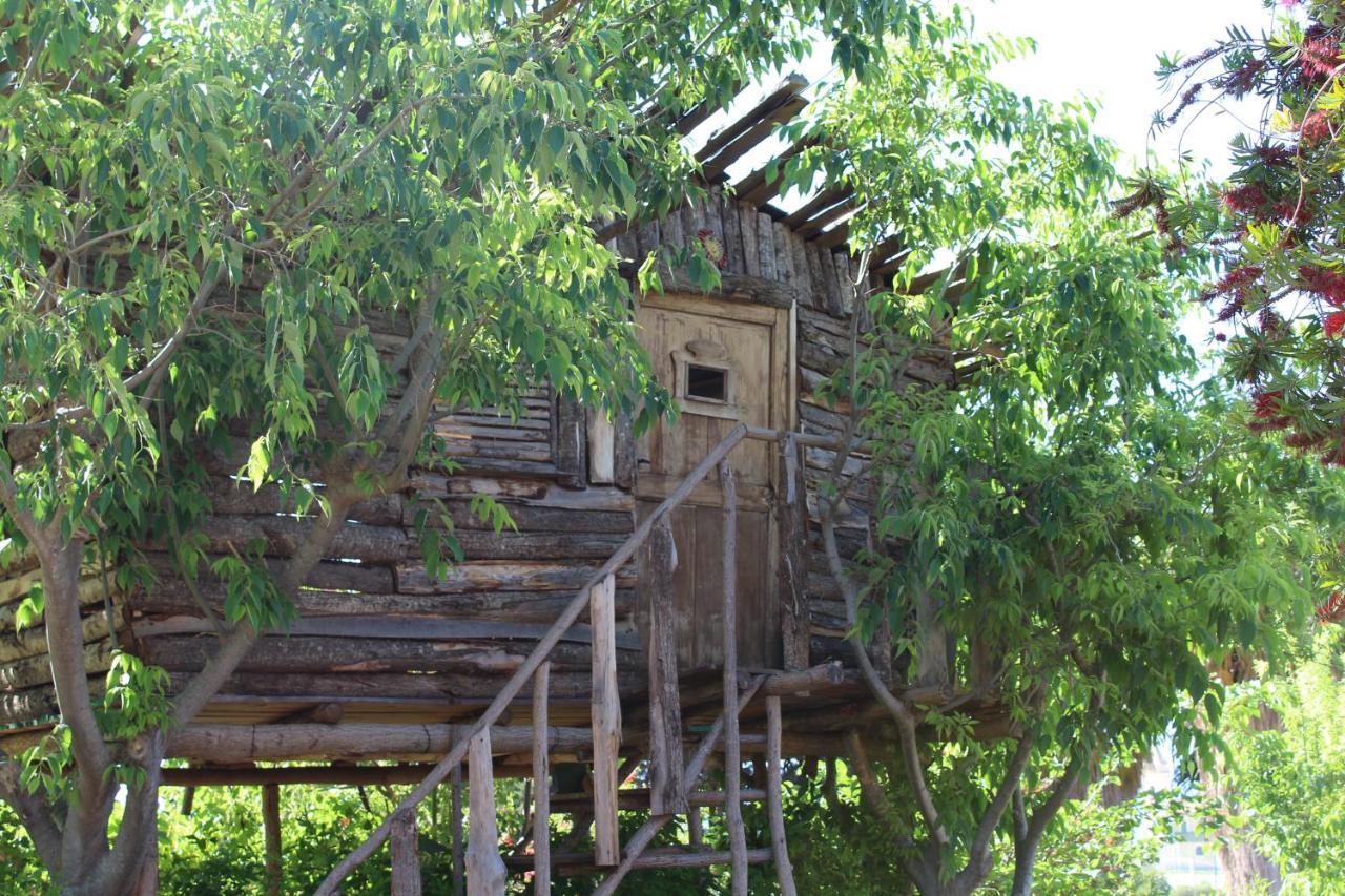 Agriturismo Ruralia ซานตาโดเมนิกา ภายนอก รูปภาพ