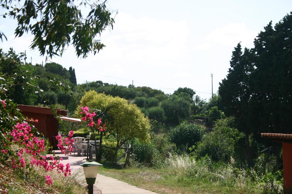 Agriturismo Ruralia ซานตาโดเมนิกา ภายนอก รูปภาพ