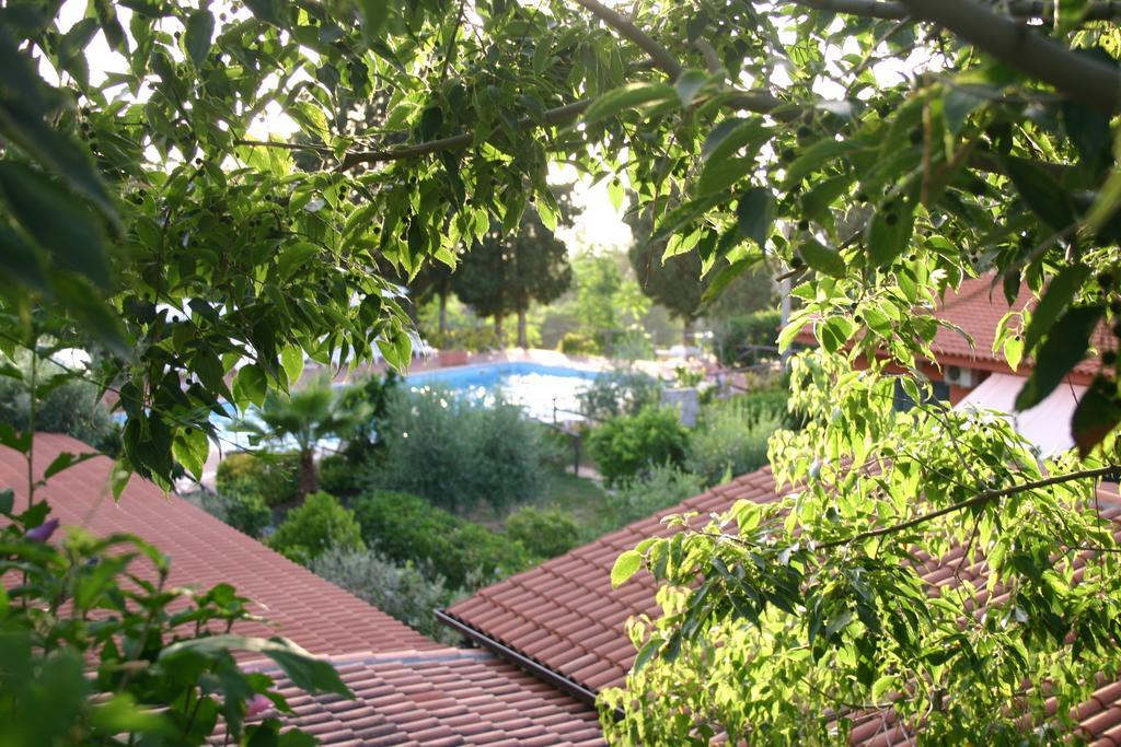 Agriturismo Ruralia ซานตาโดเมนิกา ภายนอก รูปภาพ