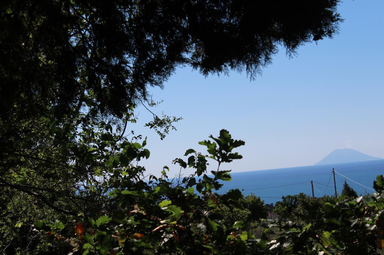 Agriturismo Ruralia ซานตาโดเมนิกา ภายนอก รูปภาพ