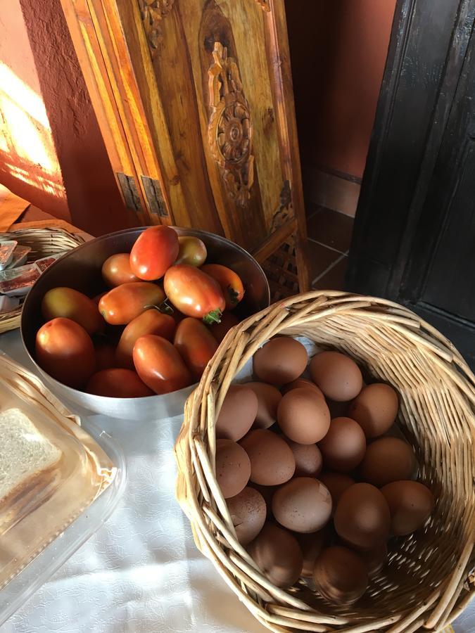 Agriturismo Ruralia ซานตาโดเมนิกา ภายนอก รูปภาพ